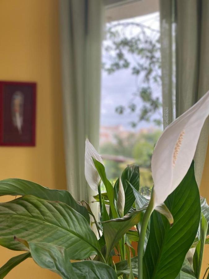 Art Apartment Julia Calpe Exterior foto